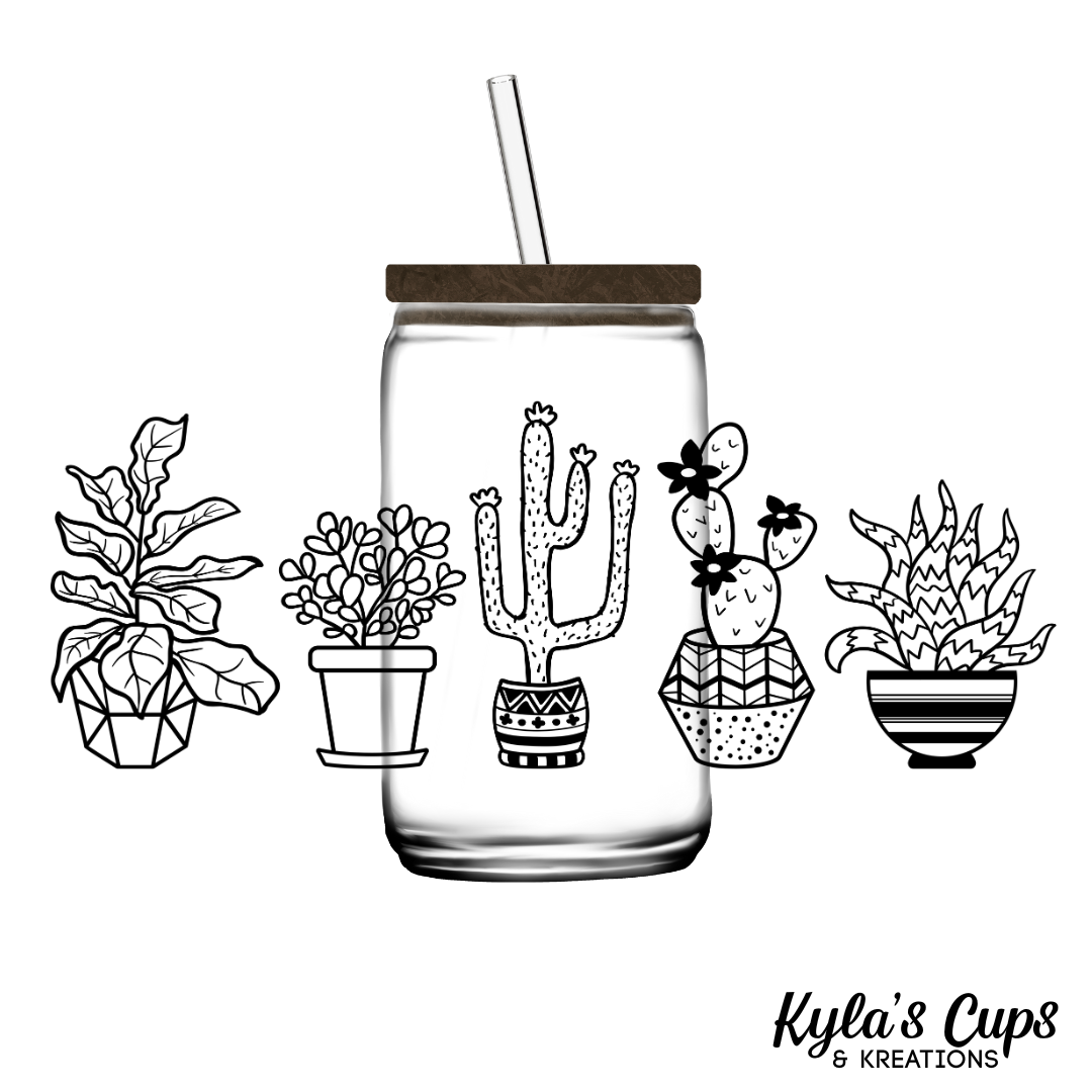Cactuses